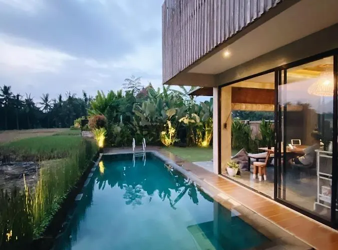 Casa Avana